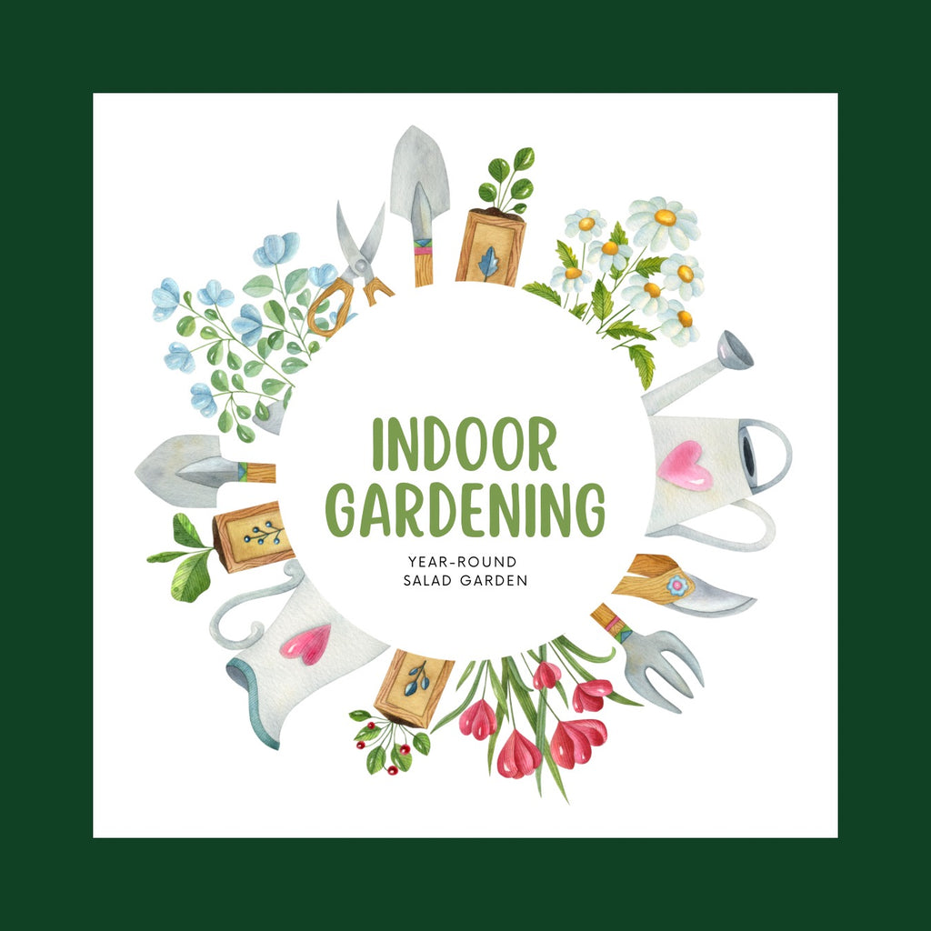 YEAR-ROUND INDOOR SALAD GARDENING