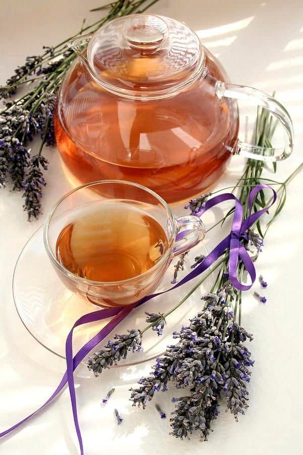 Lavender Sun Tea Recipe